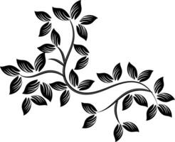 Floral ornaments collection vector