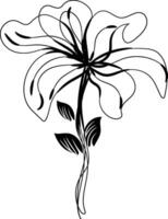 Flat design simple flower outline vector