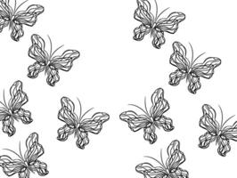 Hand drawn butterfly outline background vector