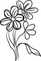 Collection wild flowers vector