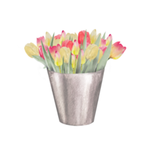 Watercolor illustration of a bouquet of colorful tulips in a vintage metal bucket.Hand drawn tulip bouquet.Spring greeting card concept. png