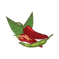 illustration of chili vector