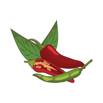 illustration of chili