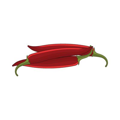 illustration of chili