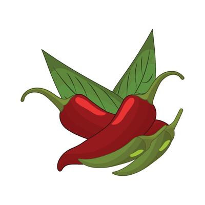 illustration of chili