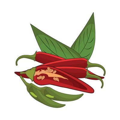 illustration of chili