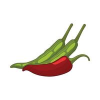 illustration of chili vector