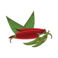 illustration of chili vector