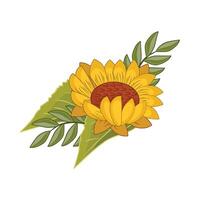 illustration of sunflower vector