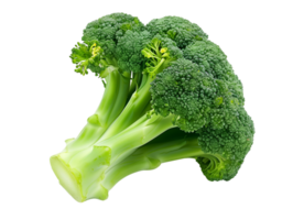 Broccoli for salad, green vegetable on isolated background png