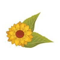 illustration of sunflower vector