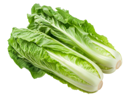 lechuga romana para ensalada, verde vegetal en aislado antecedentes png