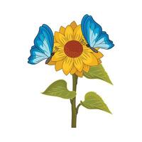 illustration of sunflower with butterfly vector