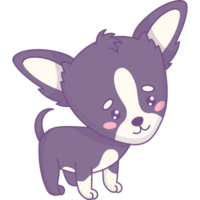 chihuahua cachorro cachorro png