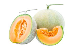 Melon fruit on file png