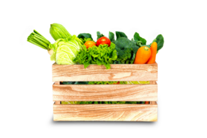 Banner design concept of fresh organic and vegetables png