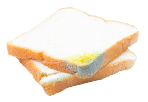 Bread molded on file png