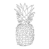 pineapple line art design vector