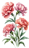 schön und elegant Blume Strauß auf transparent Hintergrund png