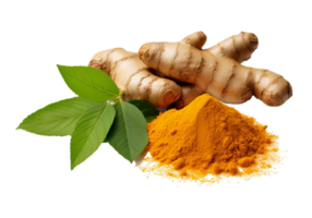 Turmeric isolated on transparent background png