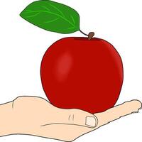 hand holding an apple vector