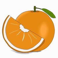 fresh orange fruit vector
