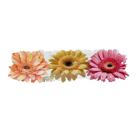 Vintage flowers stickers tape. png