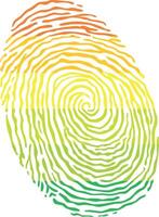 Fingerprint colored with the Hermaphrodite pride flag isolated on white background Illustration vector