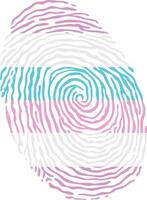 Fingerprint colored with the Bigender pride flag isolated on white background Illustration vector