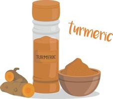 turmeric illustration isolated in cartoon style. Herbs and Species Series vector