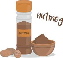 nutmeg illustration isolated in cartoon style. Herbs and Species Series vector