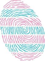 Fingerprint colored with the Transsexual pride flag isolated on white background Illustration vector