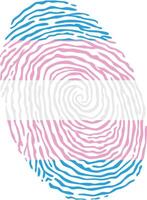 Fingerprint colored with the Transgender pride flag isolated on white background Illustration vector