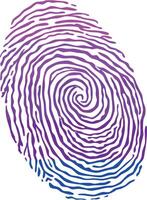 Fingerprint colored with the Transgender pride flag isolated on white background Illustration vector