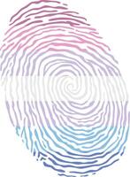 Fingerprint colored with the Bigender pride flag isolated on white background Illustration vector