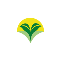 feuille logo. différent formes et couleurs de feuilles, parfait pour illustration, et divers arts. png