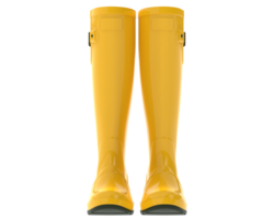 Rubber boots isolated on background. 3d rendering - illustration png