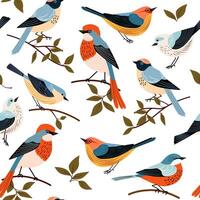 Seamless background pattern decorative birds hand draw flat . vector