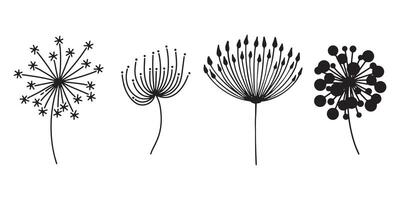 Dandelion flower silhouettes. Spring season blooming blowball flowers doodles illustration. Dandelion fluffy nature silhouette vector