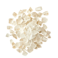 un pila de blanco conchas en un transparente antecedentes png