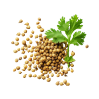 Coriander seeds on transparent background . png
