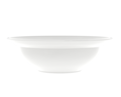 Serving bowl isolated on background. 3d rendering - illustration png