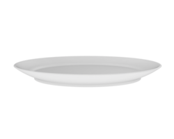 servicio plato aislado en antecedentes. 3d representación - ilustración png