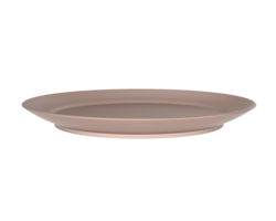 Serving plate isolated on background. 3d rendering - illustration png