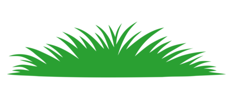 groen gras illustratie png