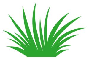 ilustración de hierba verde png