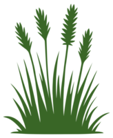 verde erba illustrazione png