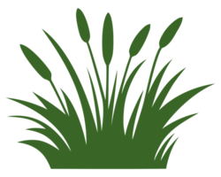 illustration de l'herbe verte png