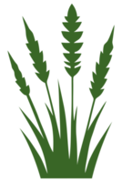 illustration de l'herbe verte png