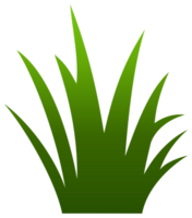 groen gras illustratie png